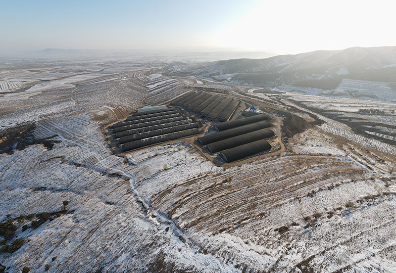 沐鑫养殖基地